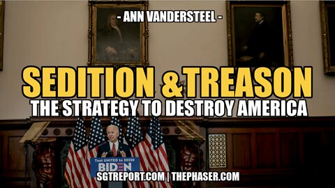 SEDITION, TREASON & THE STRATEGY TO DESTROY AMERICA - ANN VANDERSTEEL