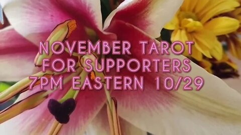 November Tarot for Supporters!