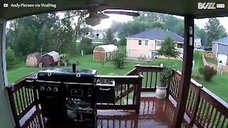 Security camera records moment lightning strikes backyard