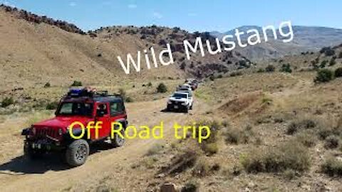 Overland trip in Nevada to see Wild Mustang
