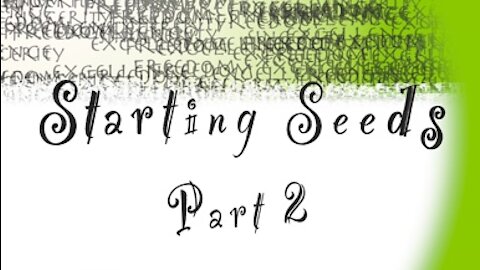 Starting Seeds part 2