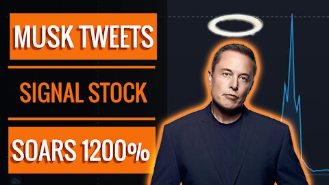 📈 Elon Musk Tweet Sends Penny Stock Signal Advance Inc Up 1200% | SIGL
