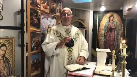 Homily on Generation - Fr. Imbarrato's Friday Homily - Nov. 25th, 2022