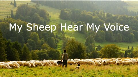 May 8, 2022 - 4th Sunday of Easter - John 10:22-30 - My Sheep Hear My Voice