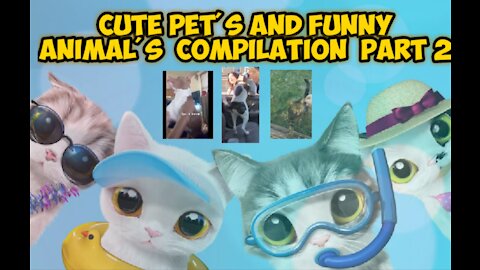 Cute Pets And Funny Animals Compilation - 2nd part