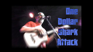 One dollar shark attack - Original Song live