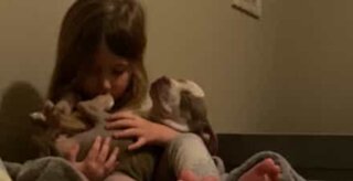Little girl sings her puppy to sleep