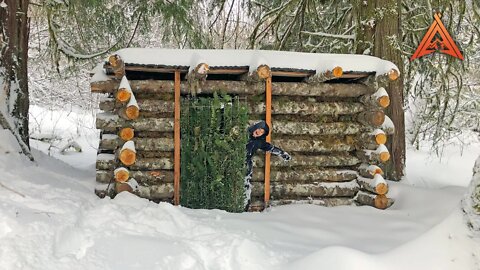 Father and Son Build Rough Log Cabin in the Woods (6 Months Start to Finish)