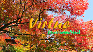 VIRTUE (THE EXCELLENCE ATTRIBUTE)