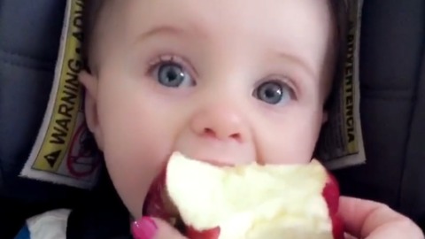 Baby tries apple for the very first time