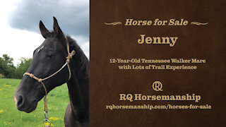JENNY IS SOLD! Congratulations to her new owners!