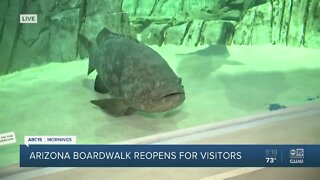 Odysea Aquarium reopens: Here are some changes they're making
