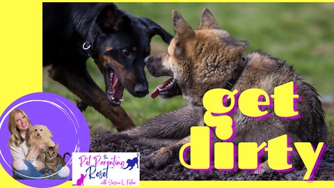 Get DIRTY! And Let Your Pets Get Dirty Too