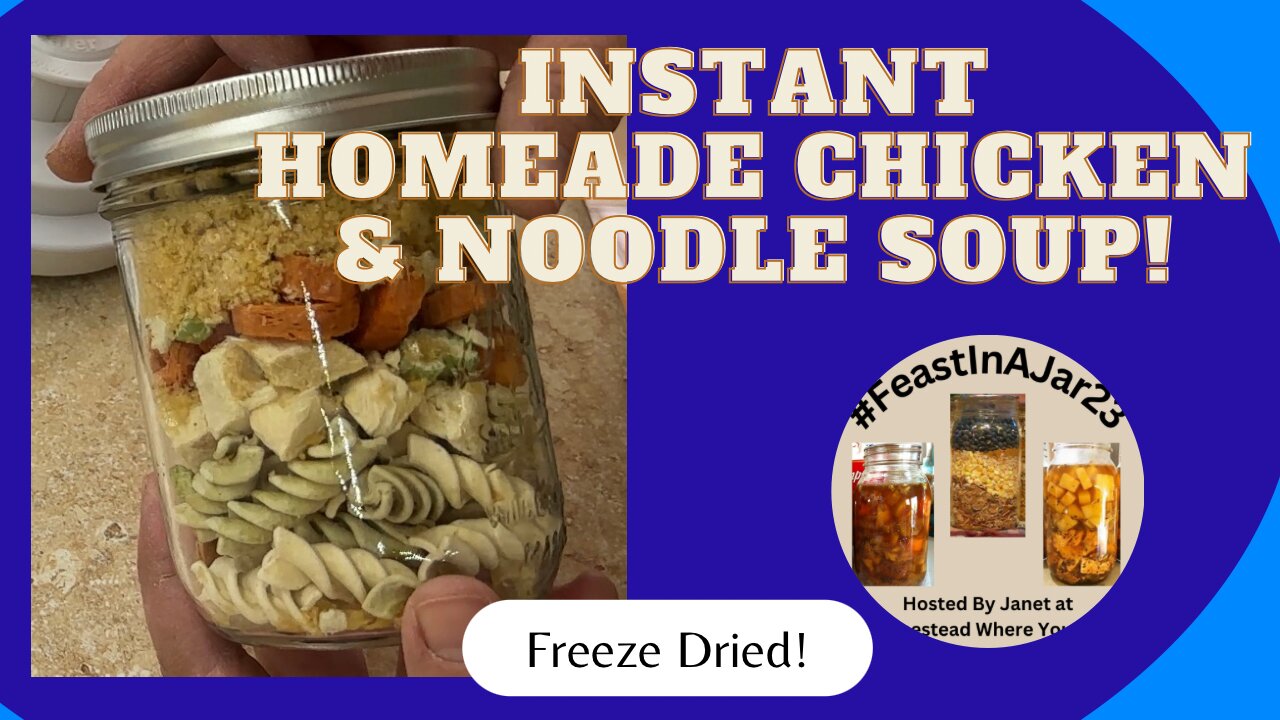 Freeze Dried Meal in a Jar Chicken Noodle Soup