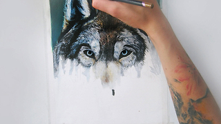 Incredible Wolf Time Lapse Drawing Made By Finish Artist Camilla Haggblom