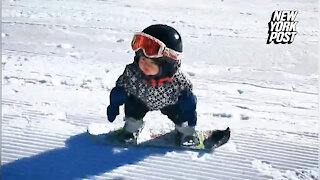 11-month-old baby snowboarder totally shreds