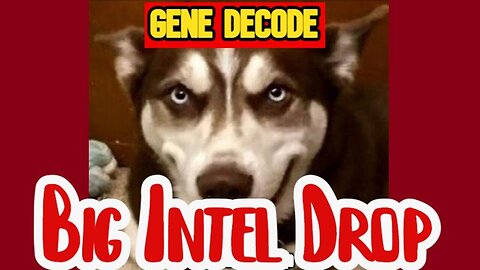 Gene Decode: BIG Intel Drop January 23