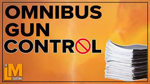 OMNIBUS GUN CONTROL | The Loaded Mic | EP105