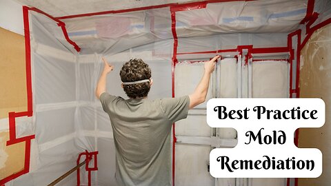 DIY Mold Remediation? | Mold Money Review | Best Practice Mold Remediation