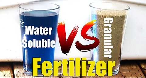 More Important Than Fertilizer | Water Soluble vs. Granular Plant Fertilizers