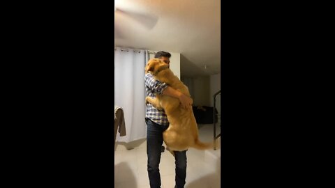 Guy is dancing bachata with his dog!.mp4