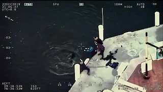 Baltimore Police rescue dog from harbor
