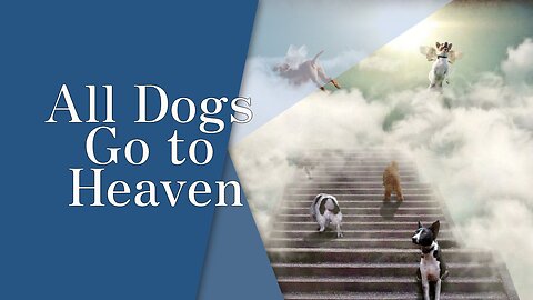 All Dogs Go to Heaven | Episode #145 | The Christian Economist