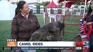 Camel rides at Kern County Fair