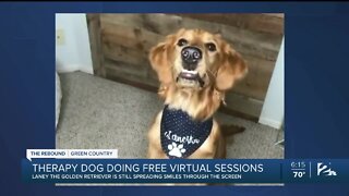 Therapy dog offering free virtual sessions