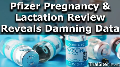 Pfizer’s Vaccine Pregnancy & Lactation Cumulative Review Reveals Damning Data
