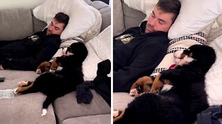 Pup Watches Owner Sleep With The Cutest Puppy Eyes