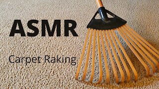 Aggressive Carpet Raking | No Talking | ~ ASMR ~
