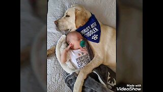 Baby & doggy cuddling session is the cutest thing you'll see today