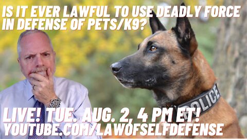 Is it Ever Lawful to Use Deadly Force in Defense of Pets/K9?