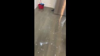 Home in Edinburg, Texas totally flooded from Hurricane Hanna aftermath
