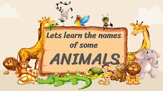 Kids learning - Names of Animals in English - helping kids learn English pronunciations