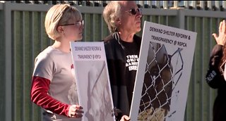 Protesters gather outside Nevada no-kill shelter