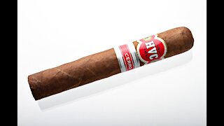 HVC Cerro Robusto Cigar Review
