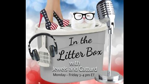 The elbowing witch - In the Litter Box w/ Jewels & Catturd 6/28/2022 - Ep. 114