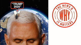 The Fly Heard Around the 2020 Election World | Ep 637