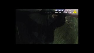 Body camera video of Fallbrook encounter