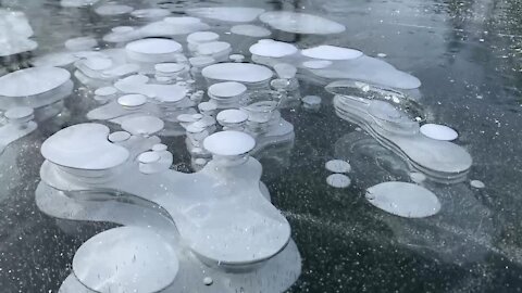 Incredible bubble formation trapped underneath frozen lake
