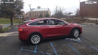 L'auto Tesla che va a ritmo di musica!