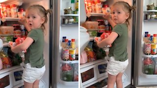 Little girl gets stuck in refrigerator trying to take all the yogurt