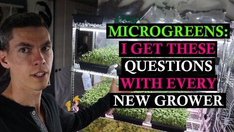 MICROGREENS: Answering the Common Questions New Growers Give Me @ LOTUS Farm & Garden in Western NC