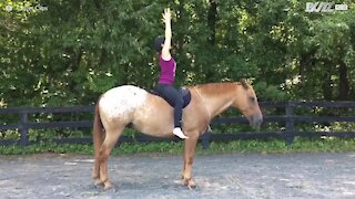 Faire du yoga sur un cheval c'est possible
