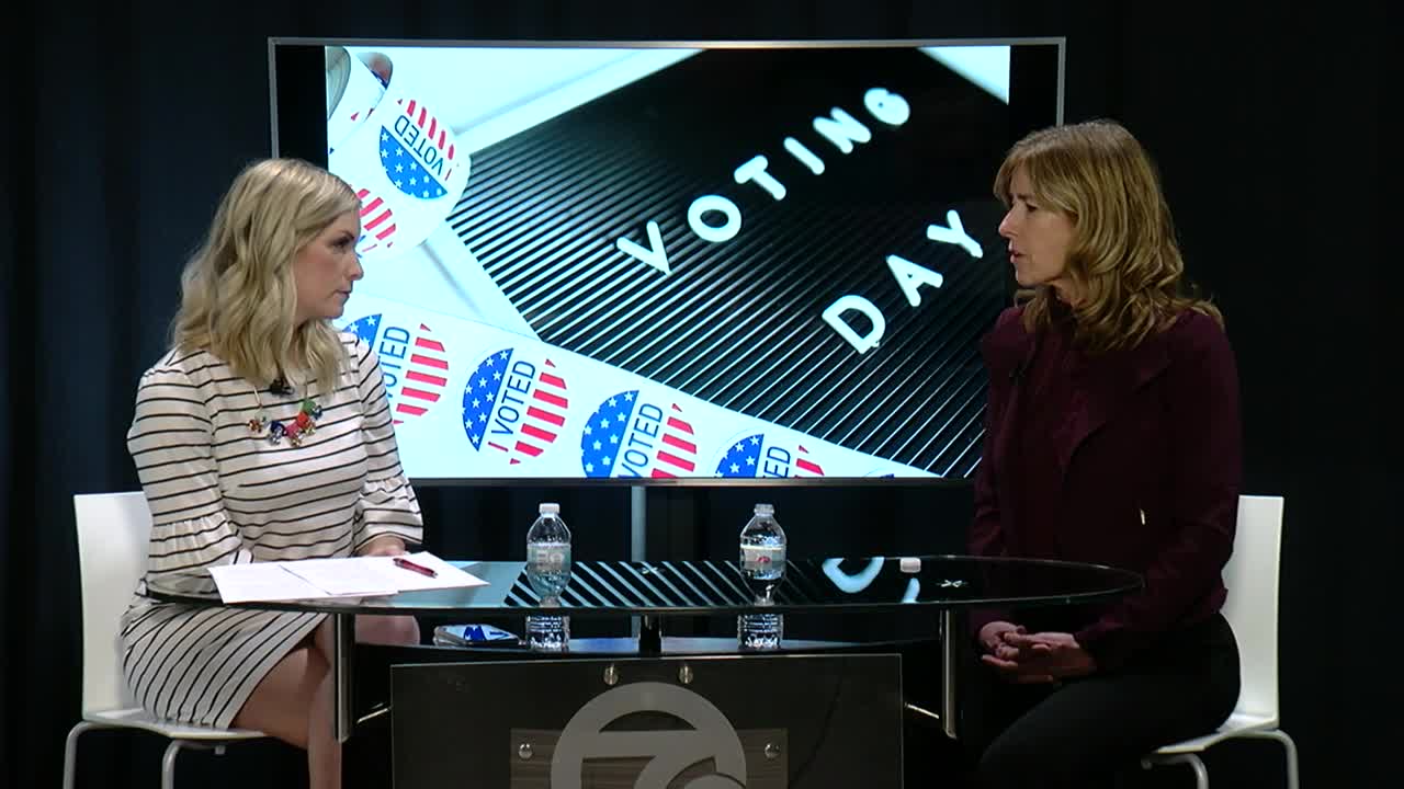 Extended interview with Erie County Executive candidate Lynne Dixon before election day