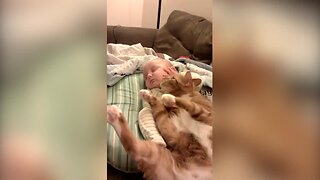 Kitty Snuggles Up with Sleeping Baby