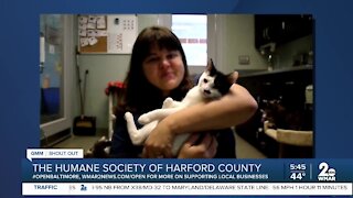 Humane Society of Harford County needs your support