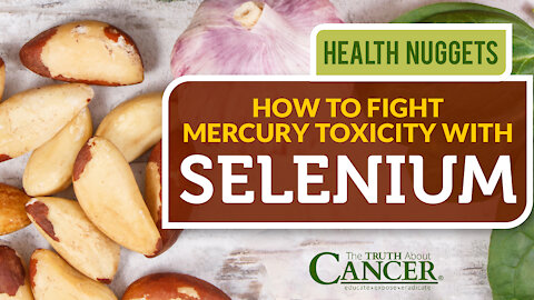 The Truth About Cancer Presents: Health Nuggets - How to Fight Mercury Toxicity With Selenium